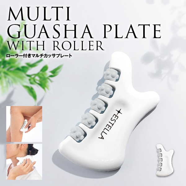 ローラー付きマルチカッサプレート